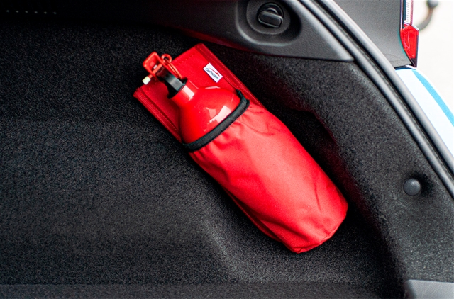  GEANTA DEPOZITARE EXTINCTOR CU ARICI ROSIE 27X10.5X19CM