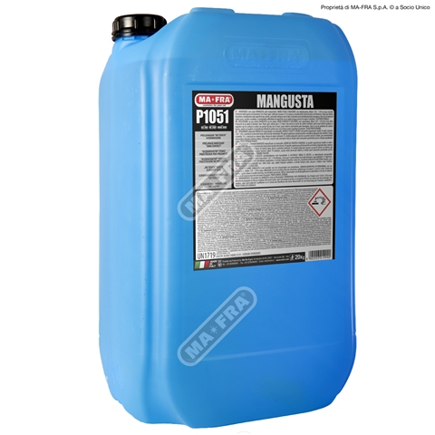  MANGUSTA-SPUMA AUTO ACTIVA PROFESIONALA 25KG MAFRA