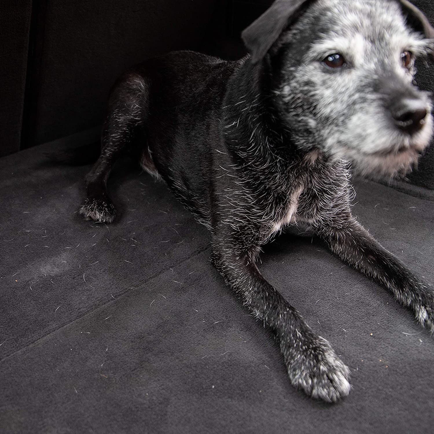  X1140EUMG - Állatszőr eltávolító kefe